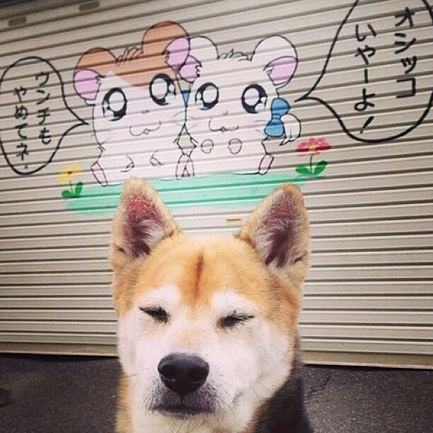 中超中路渗透战术成功率统计，中超出线