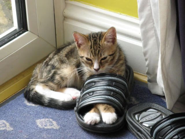 世界杯精彩全场：每一秒都精彩！，世界杯最精彩的一场比赛视频