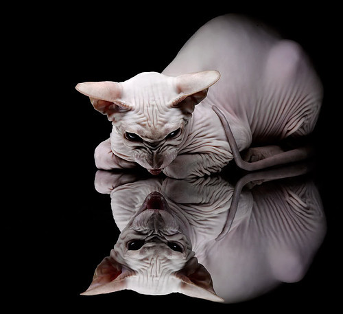 开云娱乐官网-“武汉马拉松：选手们全力拼搏，赛道一触即发”