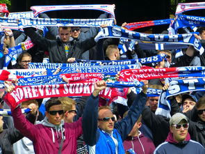 开云官网APP下载-东亚杯中国足球爆冷 球迷呼吁加强青训体系，东亚杯中国队阵容